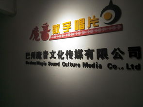 从巴州魔音到“艺援帮” 文化传媒的品牌责任与公共形象漫谈